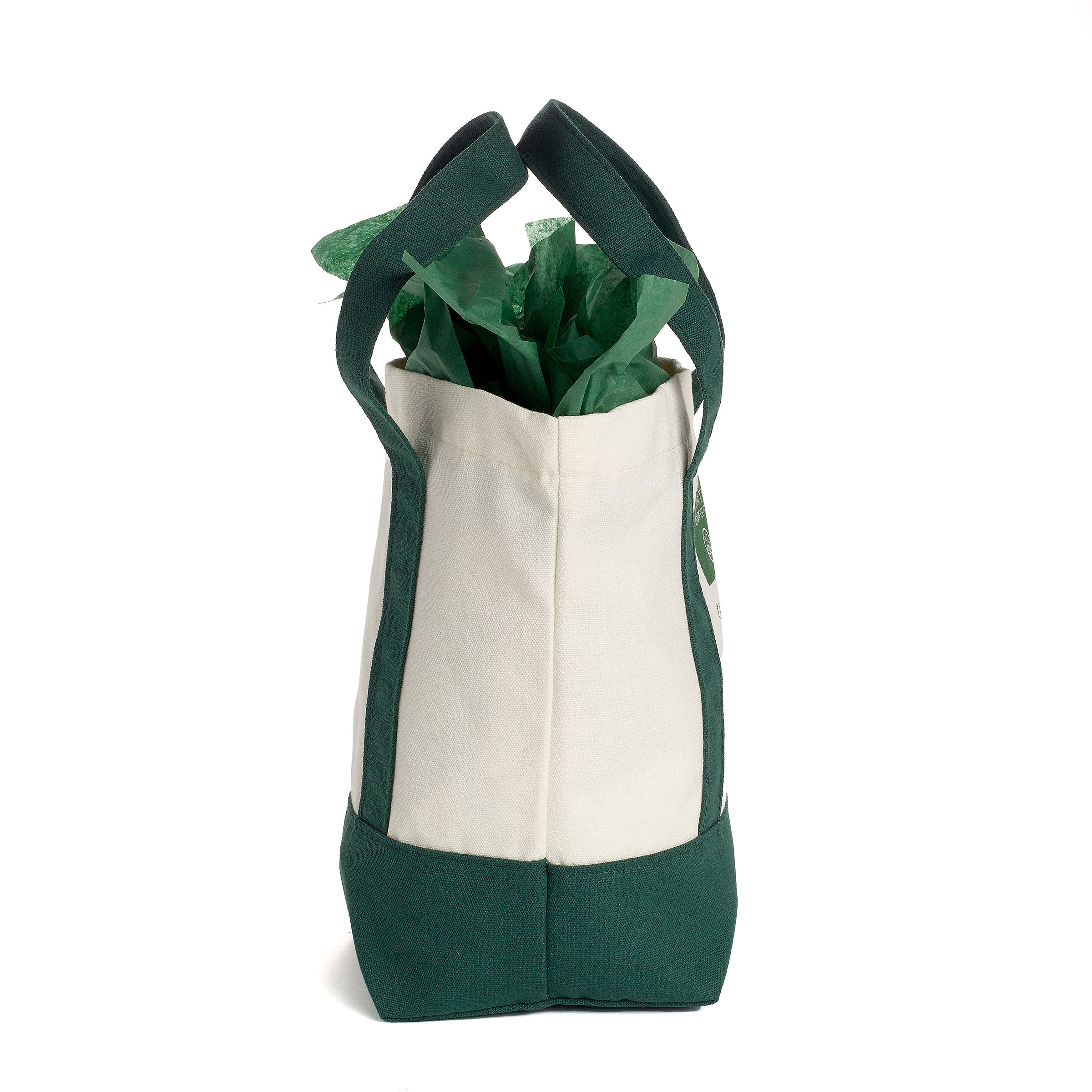 earth-therapeutics-mini-tote-bag-reusable-canvas-gift-tote-eco-friendly-carryall image 6