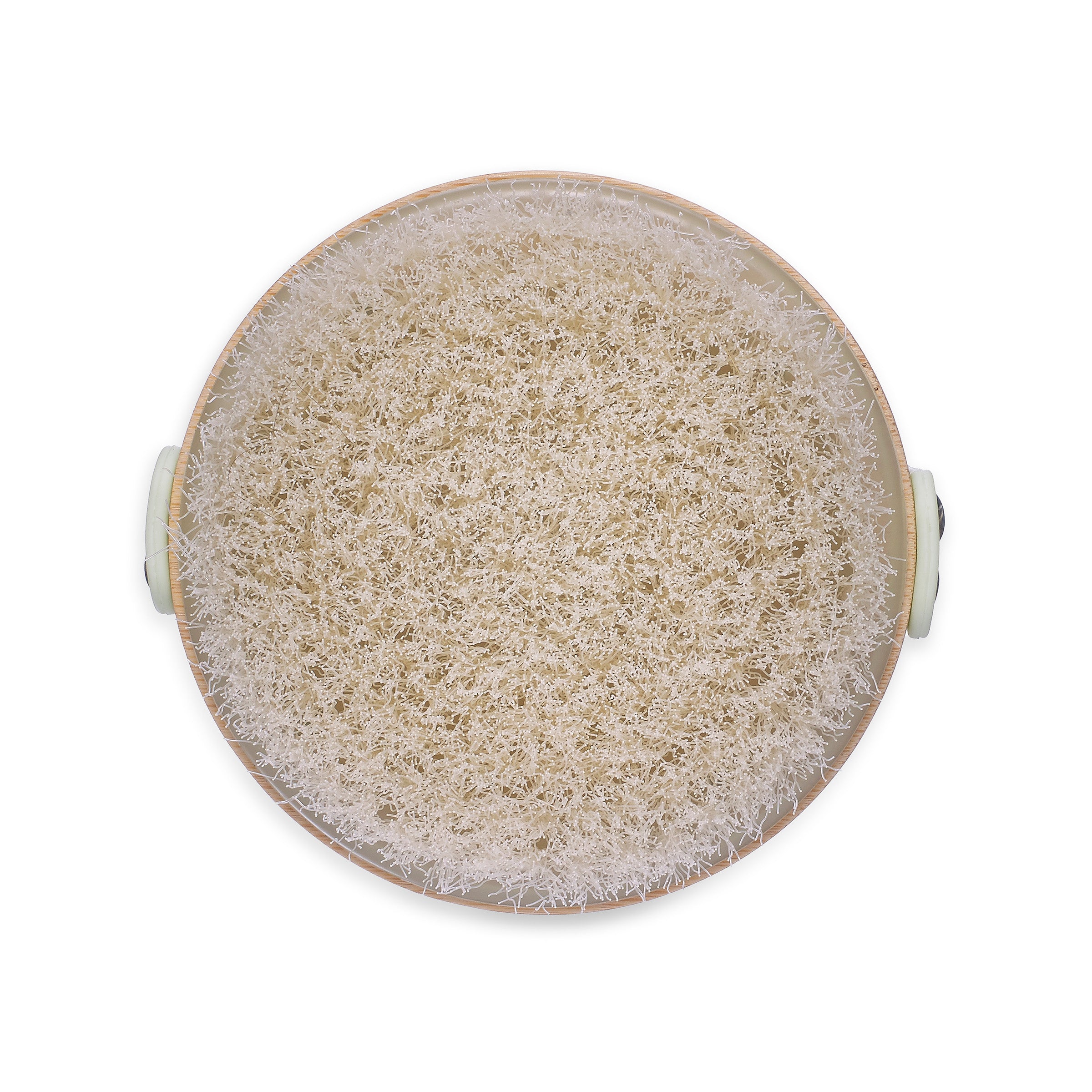 earth-therapeutics-dry-brush-bamboo-synthetic-bristles image 3