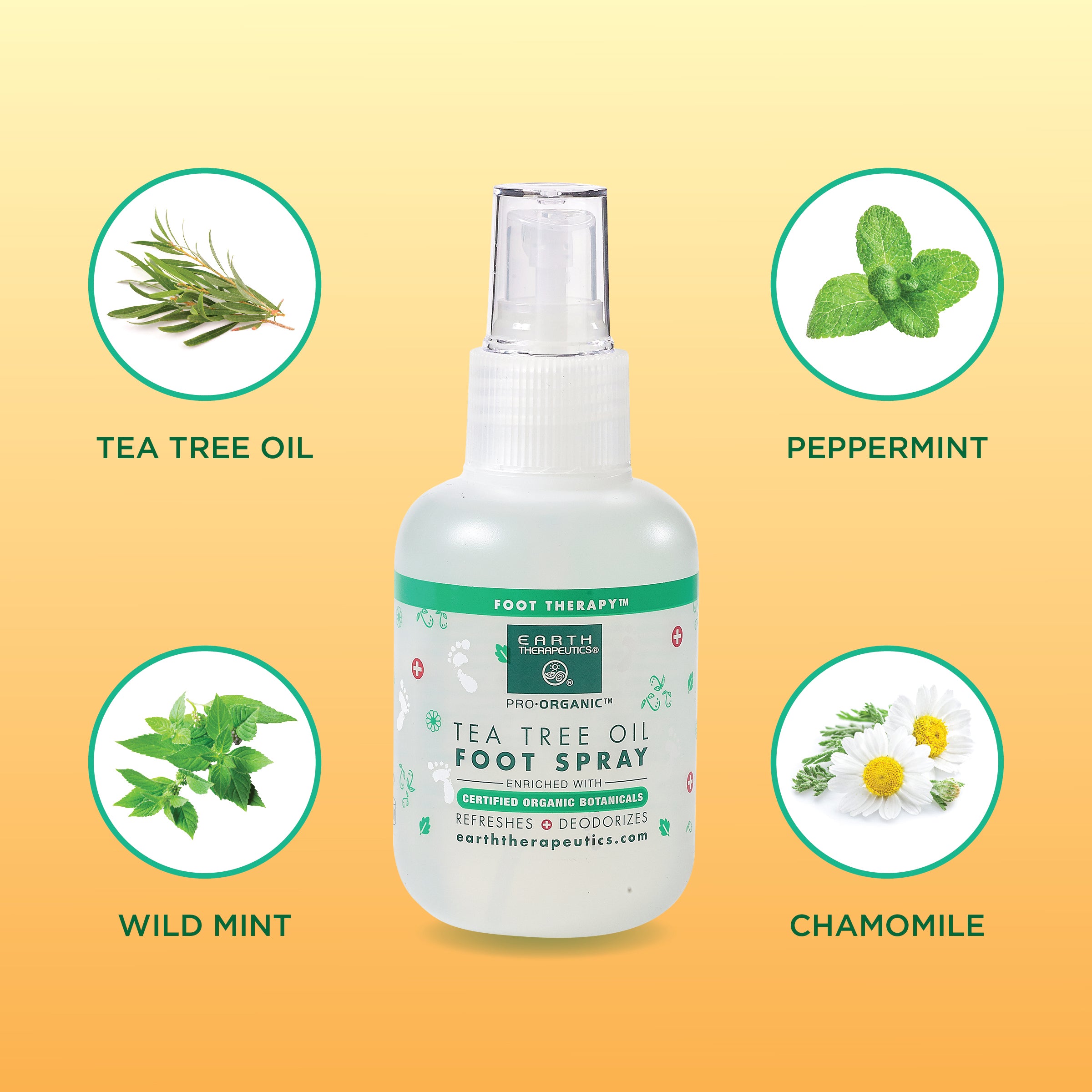 earth-therapeutics-tea-tree-oil-foot-spray-cooling-deodorizing image 4